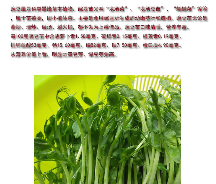豌豆16