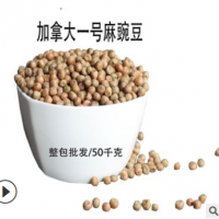 加拿大麻豌豆新种 芽苗菜种子芽率高 小粒麻豌豆 水培豌豆苗种子