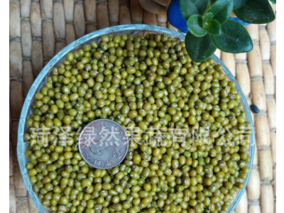 2021年新种 供应绿豆 芽苗菜绿豆种子绿豆芽豆水培阳台菜发芽率高图3