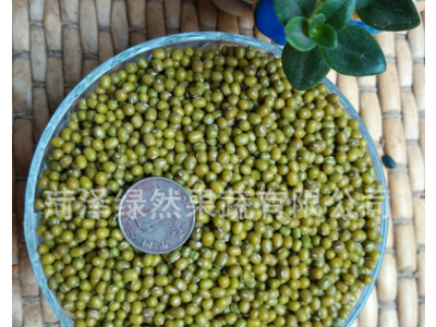 2021年新种 供应绿豆 芽苗菜绿豆种子绿豆芽豆水培阳台菜发芽率高图2