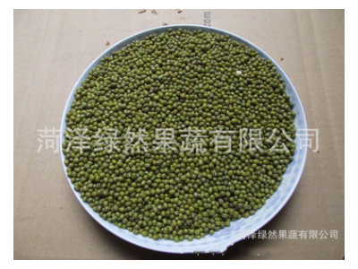 2021年新种 供应绿豆 芽苗菜绿豆种子绿豆芽豆水培阳台菜发芽率高图5