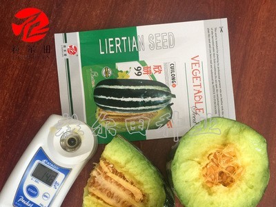 粒尔田欣研99种子 水果种子 甜瓜种子博洋甜瓜种子 香瓜种子图2