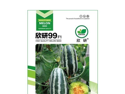粒尔田欣研99种子 水果种子 甜瓜种子博洋甜瓜种子 香瓜种子图5