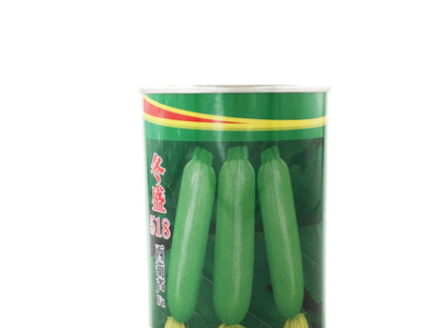 越冬早春翠绿油亮西葫芦种子粒尔田冬盛518西葫芦种籽基地用种图5