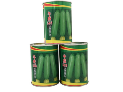 越冬早春翠绿油亮西葫芦种子粒尔田冬盛518西葫芦种籽基地用种图4