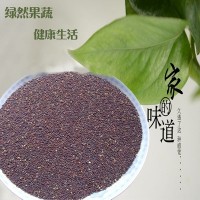 芽苗菜种子公司供应蔬菜种子四季小白菜 鸡毛菜种子阳台盆栽