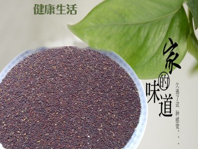 芽苗菜种子公司供应蔬菜种子四季小白菜 鸡毛菜种子阳台盆栽图5