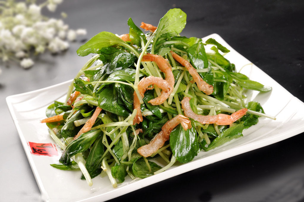 鸡毛菜