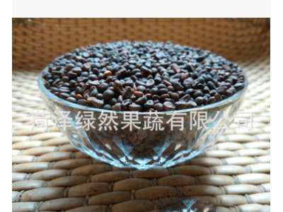 批发新空心菜种子 现货泰国 家庭阳台芽苗菜种子泰国原种芽率高图5