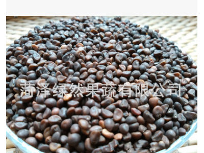 批发新空心菜种子 现货泰国 家庭阳台芽苗菜种子泰国原种芽率高图3