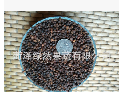 批发新空心菜种子 现货泰国 家庭阳台芽苗菜种子泰国原种芽率高图4