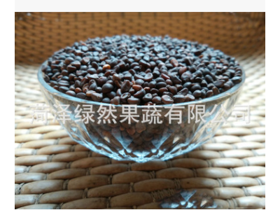 批发新空心菜种子 现货泰国 家庭阳台芽苗菜种子泰国原种芽率高图2