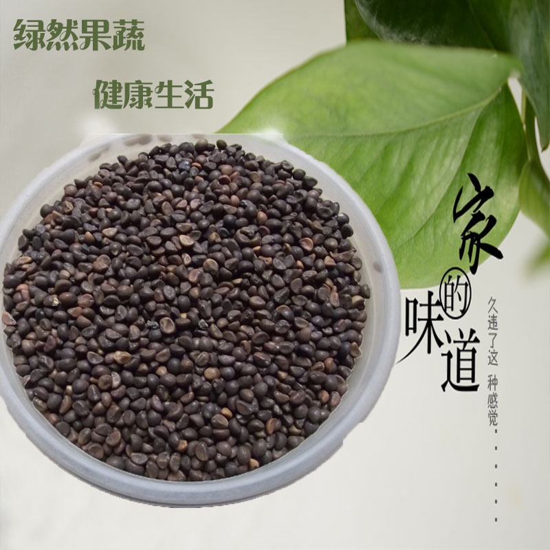 空心菜