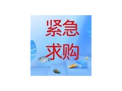 招募鱿鱼须、鱿鱼圈、熟章鱼、扇贝肉、蛤蜊肉、供应商图3