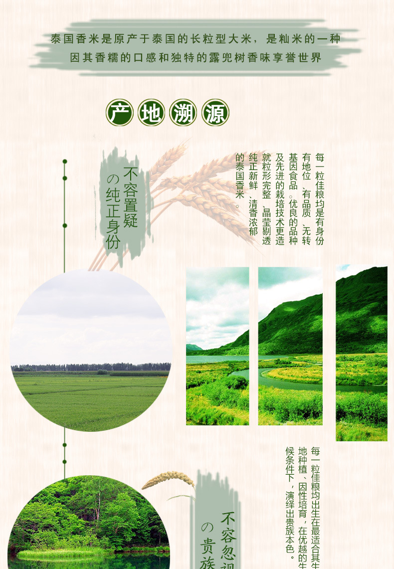蓝泰详情_02