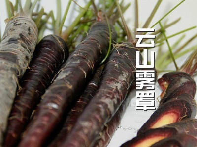 新鲜胡萝卜农家紫色胡萝卜带泥胡萝卜1斤装蔬菜包邮图3