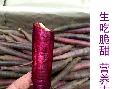 新鲜胡萝卜农家紫色胡萝卜带泥胡萝卜1斤装蔬菜包邮图2