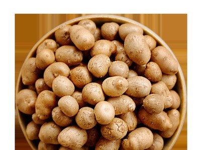 2019新鲜铁棍山药豆可选大号特大糖葫芦零食焦作小淮山蛋种子图4