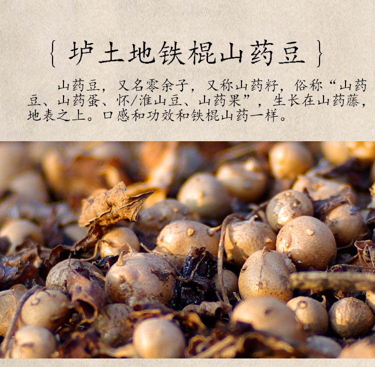 铁棍山药豆_03.jpg