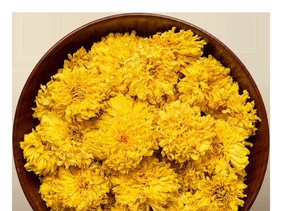 菊花冰菊花茶怀菊花青韵级念河南焦作特游云台山批发露驰菊灵图4
