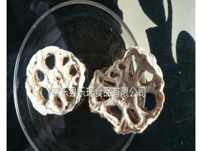 供应酒店食材半成品食品莲藕片 低温脱水莲藕干藕片500g批发图3