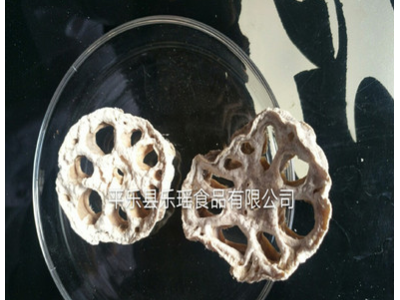 供应酒店食材半成品食品莲藕片 低温脱水莲藕干藕片500g批发图5