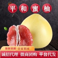 2021年新福建平和蜜柚新鲜采摘发货应季水果三红红心柚子一件代发