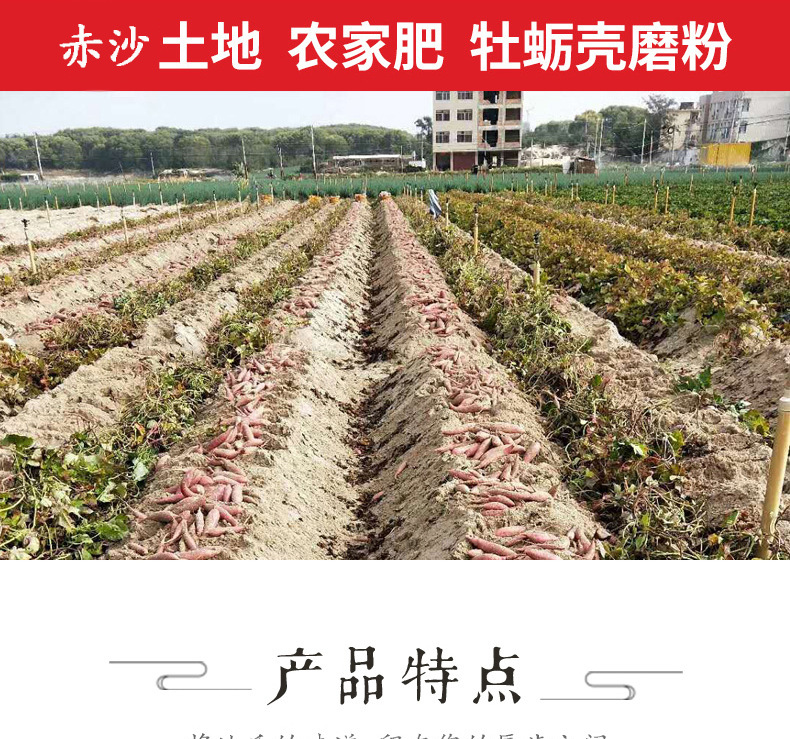 小果详情完整_06.png