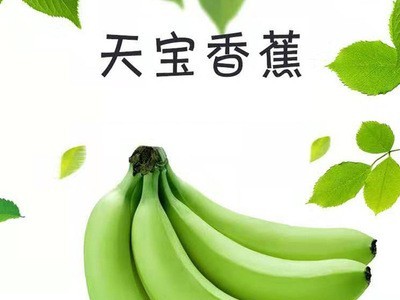漳州天宝香蕉5斤包邮 新鲜现割福建水果青黄皮香蕉原产地一件代发图2