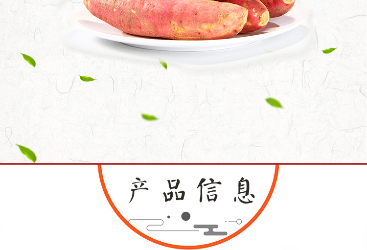 六鳌地瓜中大果完整_02.png