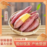 板栗红薯新鲜黄心蜜薯现挖地瓜番薯沙地红薯沙地番薯现货一件代发