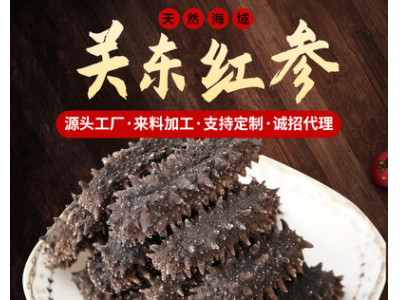 厂家货源高泡发关东红参50g干货加工定制淡干辽参批发刺身海参图2