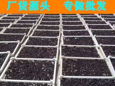 批发厂货源头加工定制礼品干海参 礼品海鲜 50g淡干海参图4