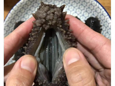 源头工厂现货好口感大连即食海参非大连淡干海参批发大连即食海参图3
