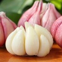 产地直供2021云南大理紫皮蒜 农家现挖紫皮瓣蒜 新鲜大蒜头批发