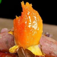 天目山红薯 新鲜农家沙地番薯 西瓜红蜜薯 现挖地瓜 产地直发