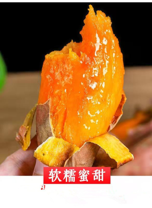 d1055f7176dab0687ca2d25799798a