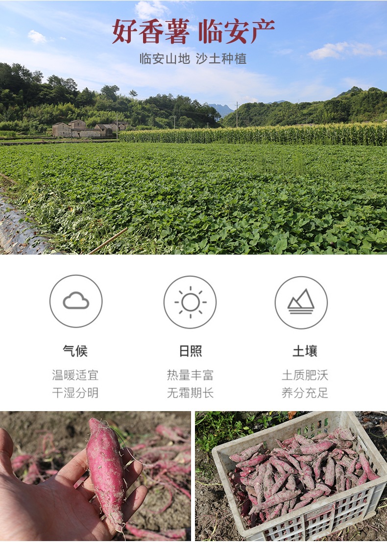 99b377b84c2ddc459d17d94ef30c5f