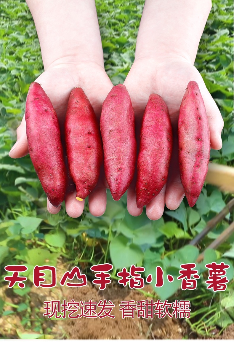 00246cdf99abdfc1ba4e81a0cc5203