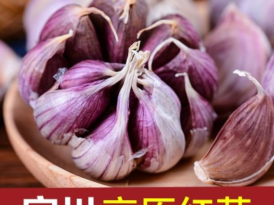 云南大理宾川紫皮大蒜加工定制图5