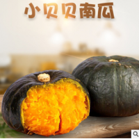 山东贝贝南瓜 板栗小南瓜蔬菜香糯宝宝辅食应季 贝贝南瓜一件代发