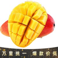 现货海南贵妃芒新鲜小果热带水果非树上熟贵妃芒【拍10斤发1箱】