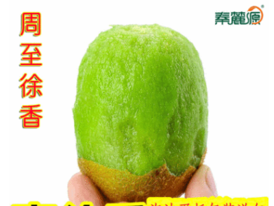 预售 陕西周至秦麓源徐香猕猴桃 绿心猕猴桃徐香 当季奇异果徐香图3