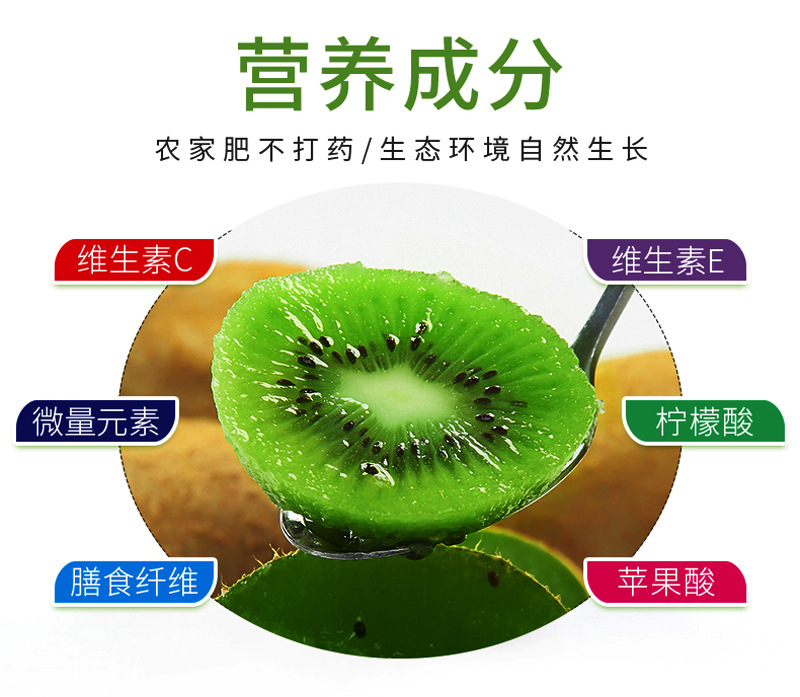 周至徐香猕猴桃奇异果 (5)4
