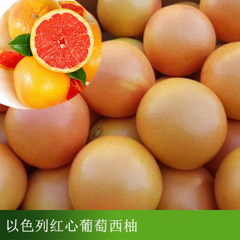 以色列红心葡萄柚.jpg