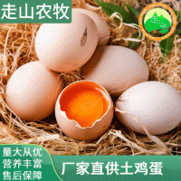 广西厂家直供农家竹林山林散养土鸡蛋现捡现发新鲜生柴鸡蛋批发