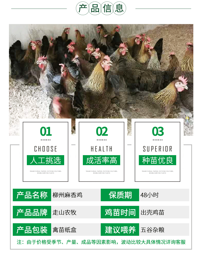 麻香鸡_03