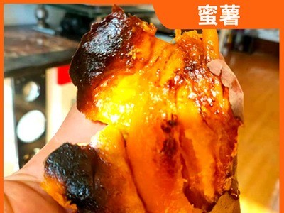 山东农家自种蜜薯新鲜番薯红薯富硒蜜薯沙土地地瓜批发代发图3