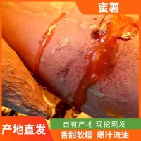 山东农家自种蜜薯新鲜番薯红薯富硒蜜薯沙土地地瓜批发代发