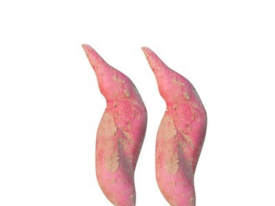 山东农家自种蜜薯新鲜番薯红薯富硒蜜薯沙土地地瓜批发代发图4